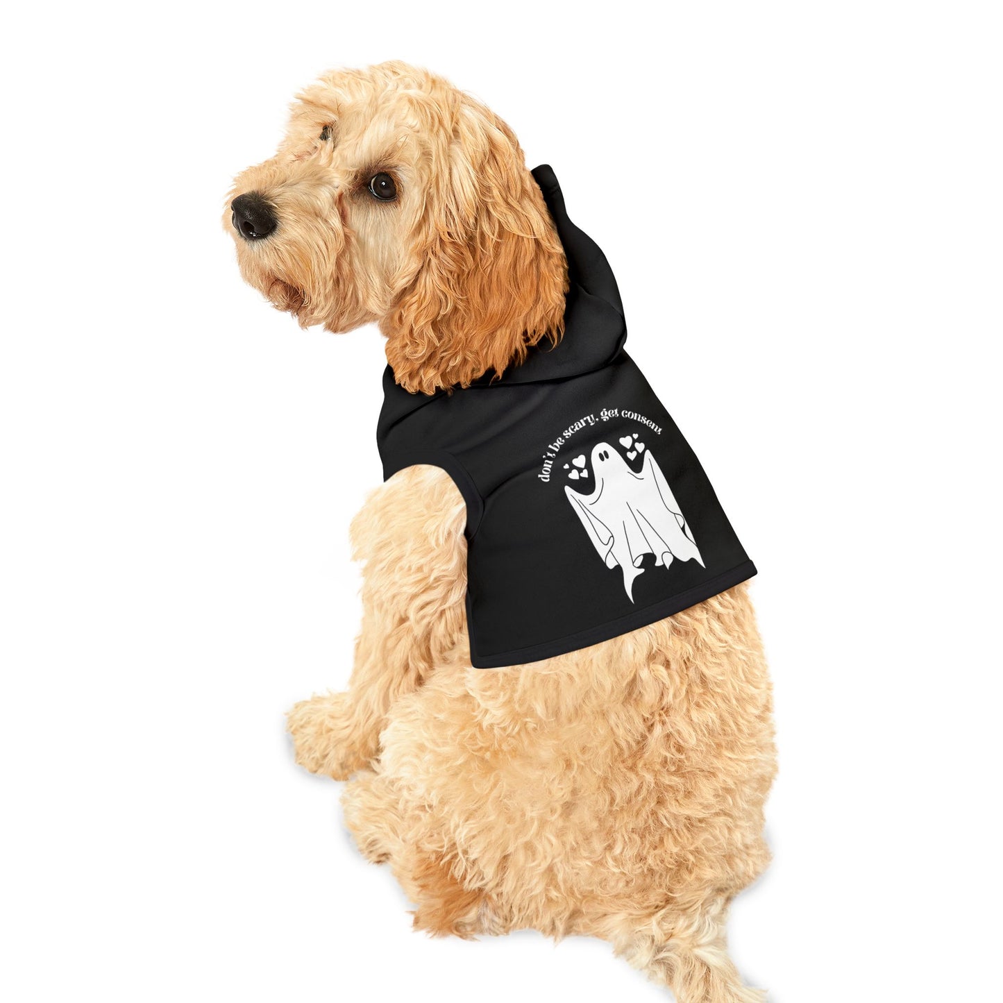 Consent Ghost Guy Pet Hoodie