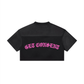 Assk First Cropped Paneled V-Neck Jersey